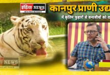 कृतिम फुहारों से गुलज़ार हुआ कानपुर प्राणी उद्यान, खिल उठे मल्लू और गौरी के चेहरे,भालू ने चखा आइसक्रीम का स्वाद ?